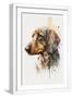 White Frame