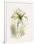 Gramercy White