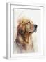White Frame