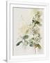 Gramercy White