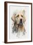 Brown Frame