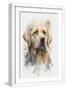 White Frame