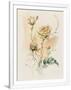 Gramercy White