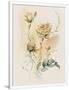 Gramercy White