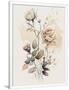 Gramercy White