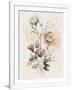 Gramercy White
