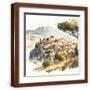 Brown Frame