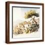Brown Frame