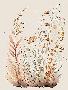 Laminate