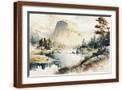 Brown Frame