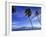 Lanai from Laahaina, Hawaii, USA-Michael DeFreitas-Framed Photographic Print