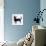 Lancashire Heeler Dog-null-Photographic Print displayed on a wall