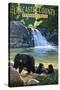 Lancaster County, Pennsylvania - Black Bears and Waterfall-Lantern Press-Stretched Canvas