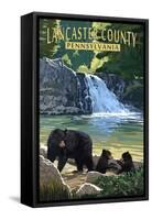 Lancaster County, Pennsylvania - Black Bears and Waterfall-Lantern Press-Framed Stretched Canvas