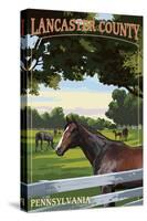 Lancaster County, Pennsylvania - Horse Pasture-Lantern Press-Stretched Canvas