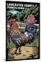 Lancaster County, Pennsylvania - Rooster - Scratchboard-Lantern Press-Mounted Art Print