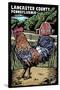 Lancaster County, Pennsylvania - Rooster - Scratchboard-Lantern Press-Stretched Canvas