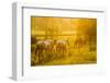 Lancaster County, Pennsylvania. Team of horses walking along a fence-Jolly Sienda-Framed Photographic Print