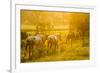 Lancaster County, Pennsylvania. Team of horses walking along a fence-Jolly Sienda-Framed Photographic Print