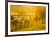 Lancaster County, Pennsylvania. Team of horses walking along a fence-Jolly Sienda-Framed Photographic Print