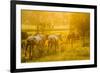 Lancaster County, Pennsylvania. Team of horses walking along a fence-Jolly Sienda-Framed Photographic Print