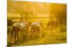 Lancaster County, Pennsylvania. Team of horses walking along a fence-Jolly Sienda-Mounted Photographic Print