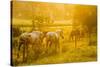 Lancaster County, Pennsylvania. Team of horses walking along a fence-Jolly Sienda-Stretched Canvas