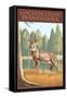 Lancaster County, Pennsylvania - White Tailed Deer-Lantern Press-Framed Stretched Canvas