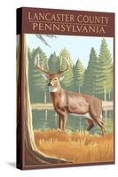 Lancaster County, Pennsylvania - White Tailed Deer-Lantern Press-Stretched Canvas