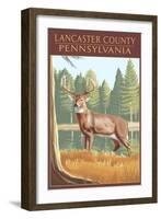 Lancaster County, Pennsylvania - White Tailed Deer-Lantern Press-Framed Art Print