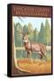 Lancaster County, Pennsylvania - White Tailed Deer-Lantern Press-Framed Stretched Canvas