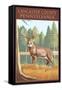 Lancaster County, Pennsylvania - White Tailed Deer-Lantern Press-Framed Stretched Canvas