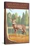 Lancaster County, Pennsylvania - White Tailed Deer-Lantern Press-Stretched Canvas