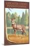 Lancaster County, Pennsylvania - White Tailed Deer-Lantern Press-Mounted Art Print