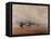 Lancaster Sands, Morecambe Bay (Treasures) 1842-David Y. Cox-Framed Stretched Canvas