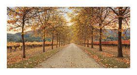 Roadside Oak-Lance Kuehne-Photographic Print
