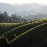 Marin Hills-Lance Kuehne-Framed Photographic Print