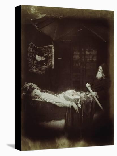 Lancelot and Elaine-Julia Margaret Cameron-Stretched Canvas