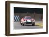Lancia Stratos at Goodwood Festival of Speed 2013-null-Framed Photographic Print