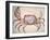 Land Crab-John White-Framed Giclee Print