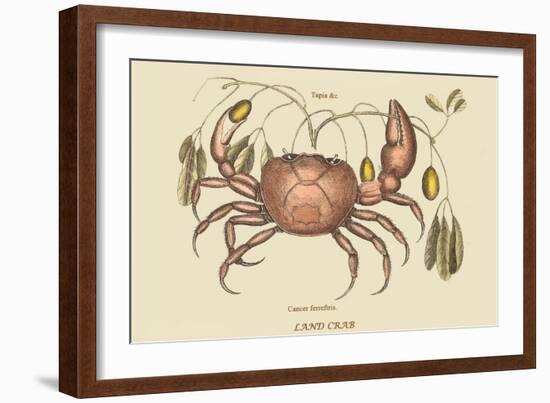 Land Crab-Mark Catesby-Framed Art Print