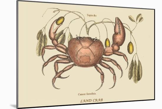 Land Crab-Mark Catesby-Mounted Art Print