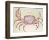 Land Crab-John White-Framed Giclee Print