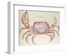 Land Crab-John White-Framed Giclee Print