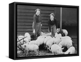 Land Girls Working Feeding Pigs on a Farm During World War II-Robert Hunt-Framed Stretched Canvas