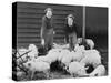 Land Girls Working Feeding Pigs on a Farm During World War II-Robert Hunt-Stretched Canvas