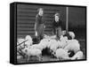 Land Girls Working Feeding Pigs on a Farm During World War II-Robert Hunt-Framed Stretched Canvas