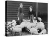 Land Girls Working Feeding Pigs on a Farm During World War II-Robert Hunt-Stretched Canvas