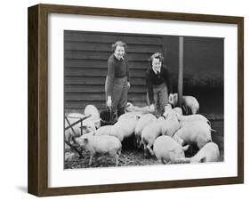 Land Girls Working Feeding Pigs on a Farm During World War II-Robert Hunt-Framed Photographic Print