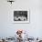 Land Girls Working Feeding Pigs on a Farm During World War II-Robert Hunt-Framed Photographic Print displayed on a wall